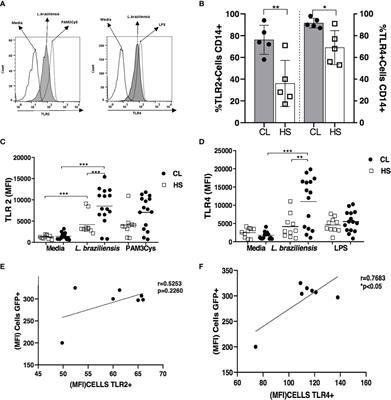 Blockade of TLR2 and TLR4 Attenuates Inflammatory Response and Parasite Load in Cutaneous Leishmaniasis